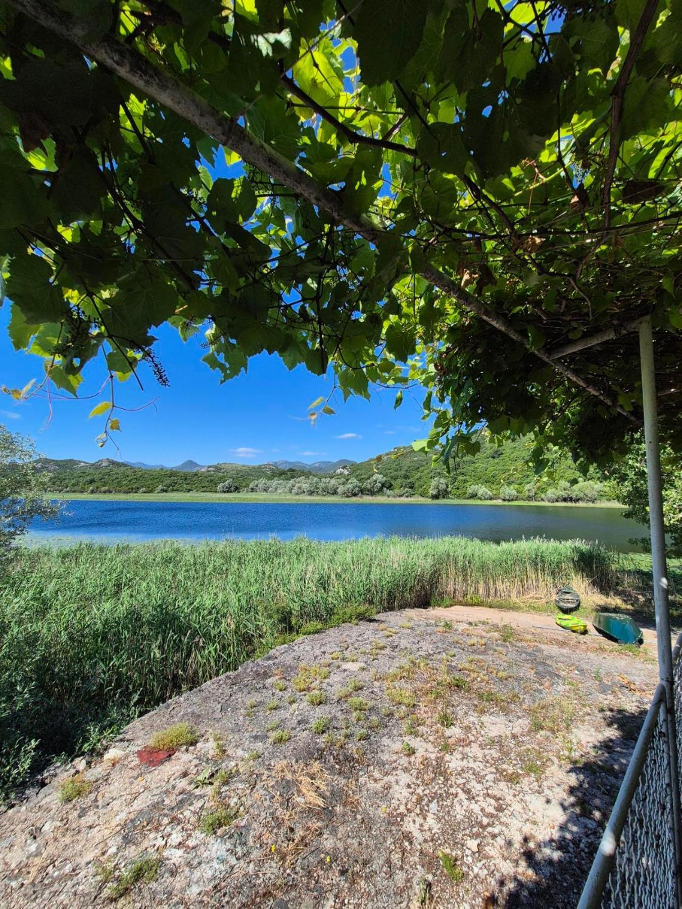 Old House, Skadar Lake Τσέτινιε Δωμάτιο φωτογραφία